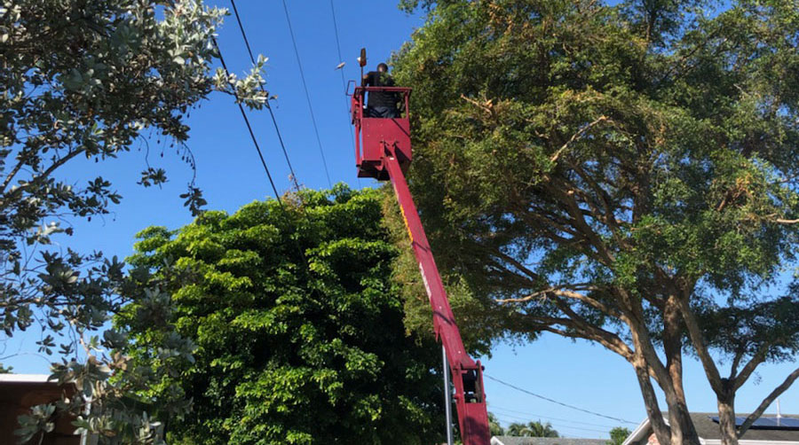 Bobmar Lawn & Tree Service